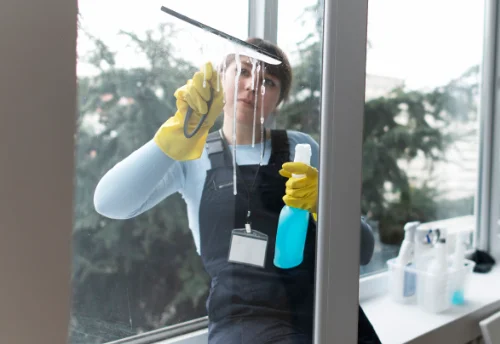 Nettoyage de vitres intérieures et extérieures à Moëslains